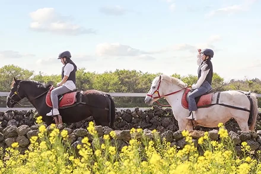 Day 2: Sunnah & Battle