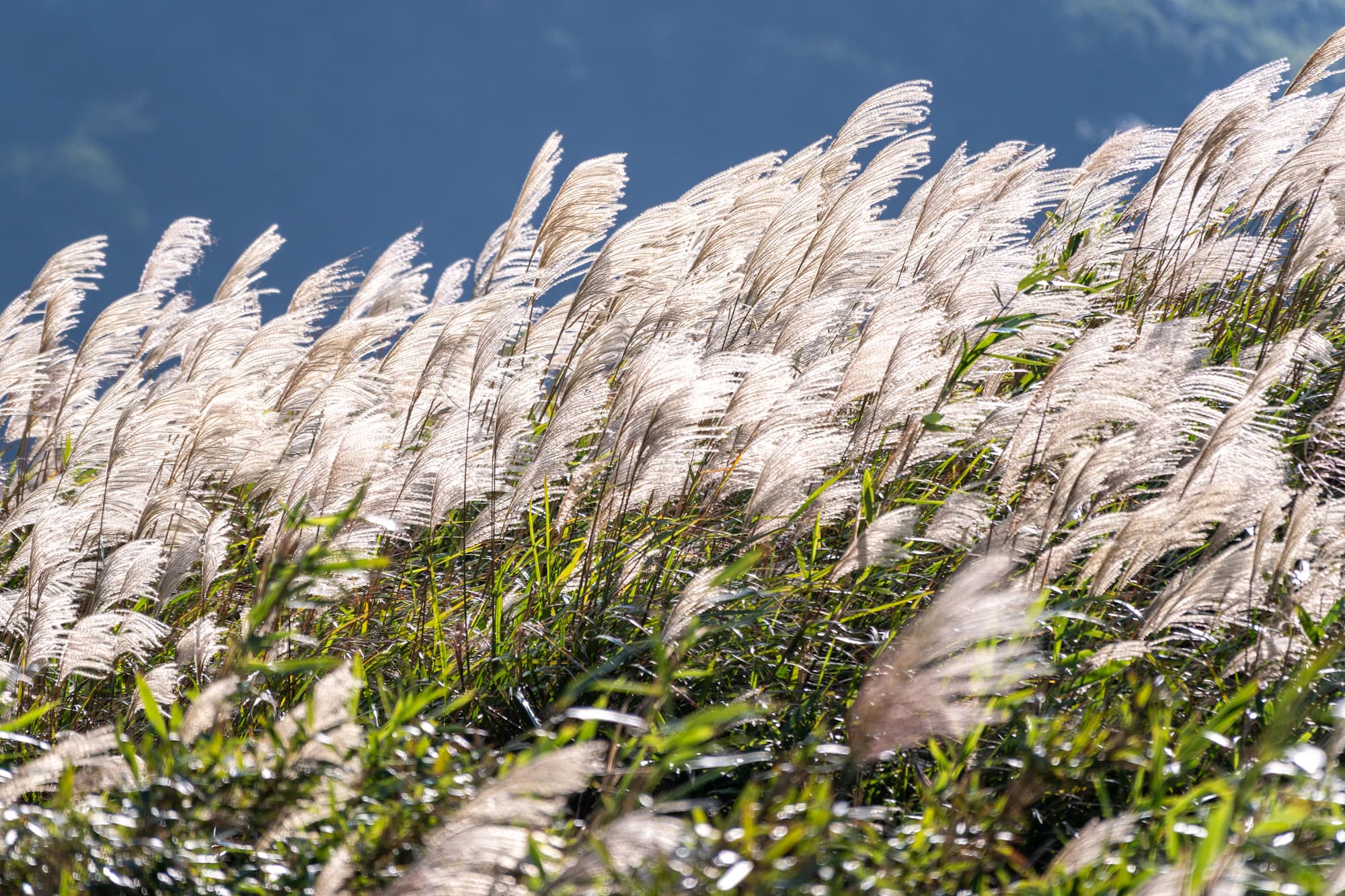 September 2026 — Autumn unhurried