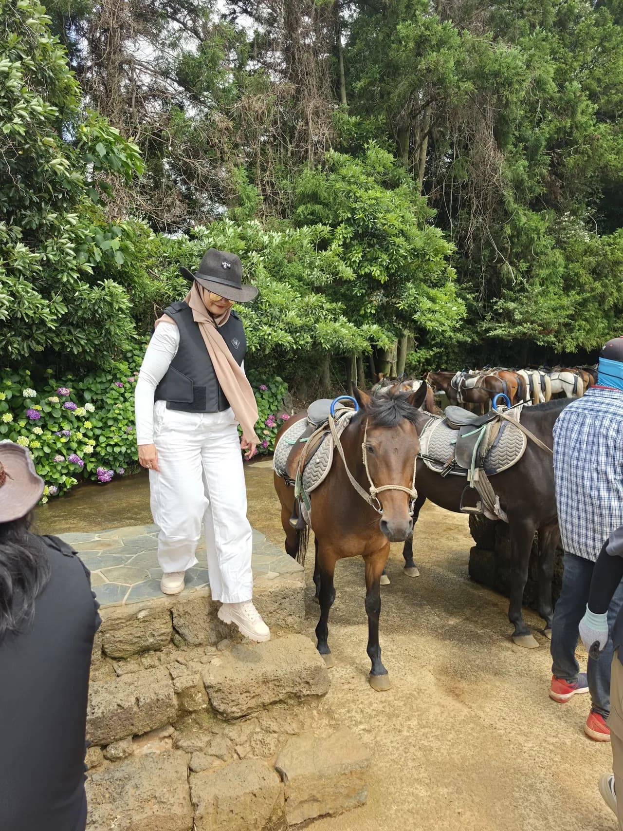Leading a horse along the stone-paved ranch path past hydrangeas