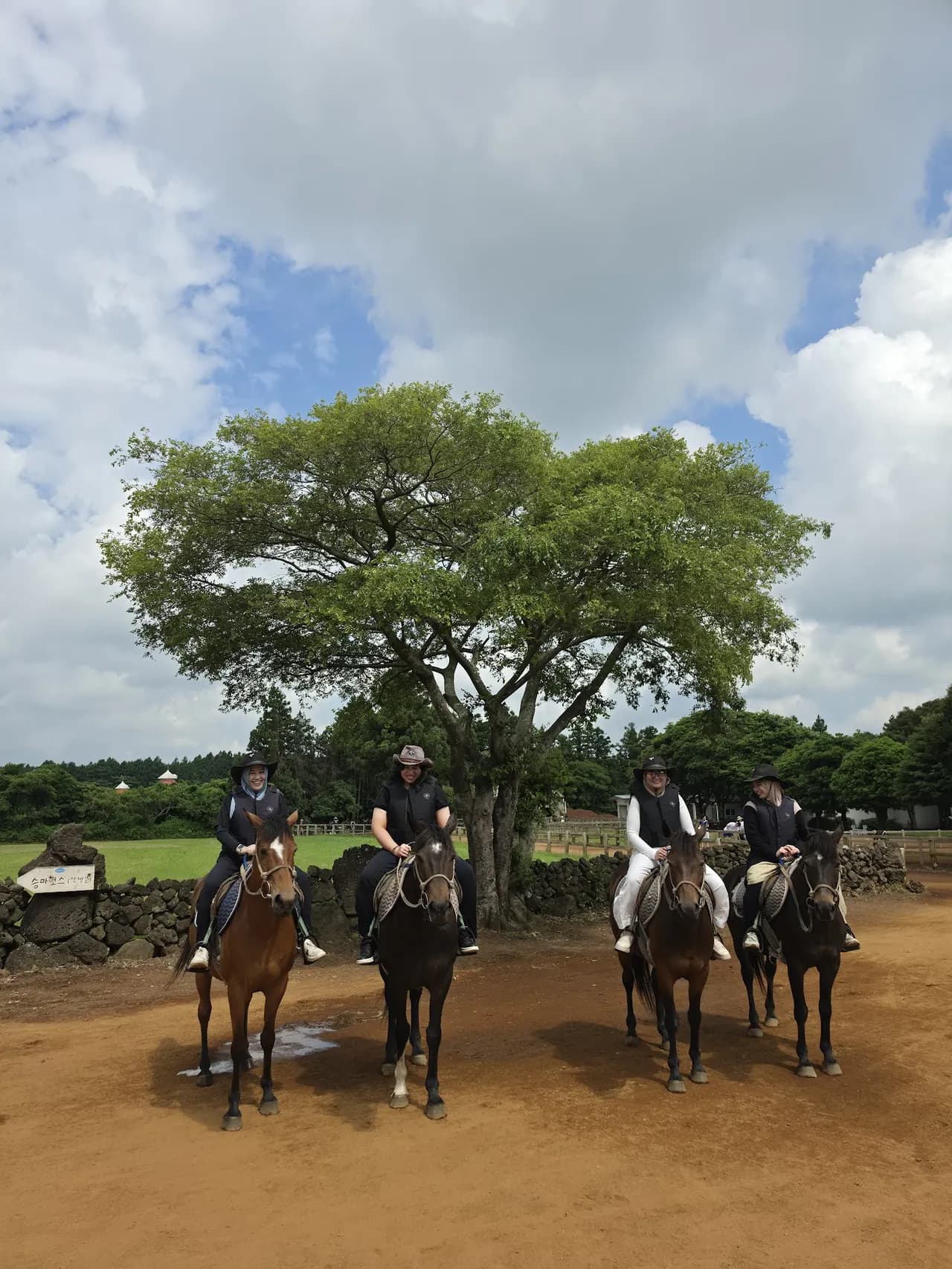 A line of riders following the trail under a spreading tree