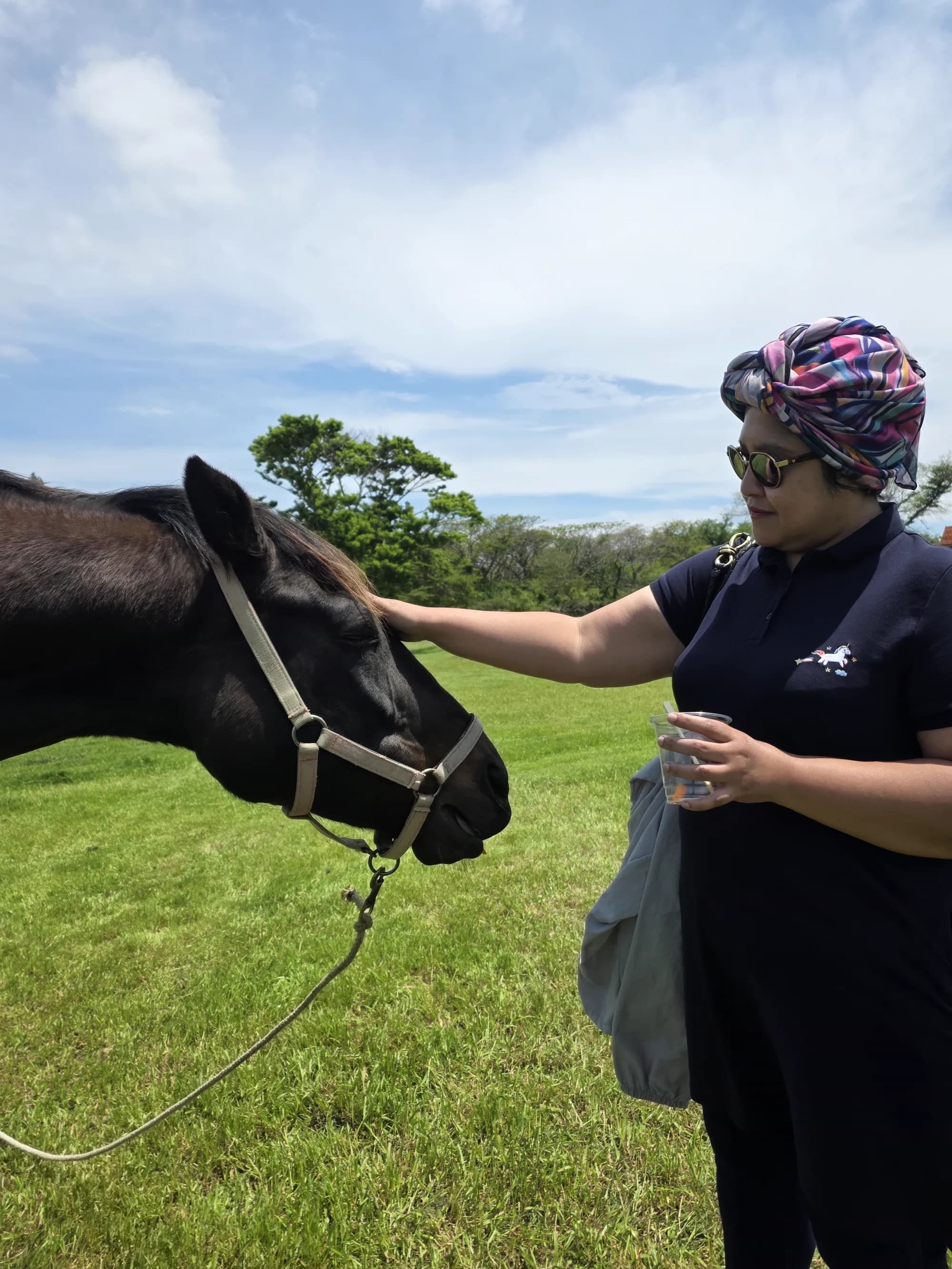 Guest with a black Jeju horse on the grasslands