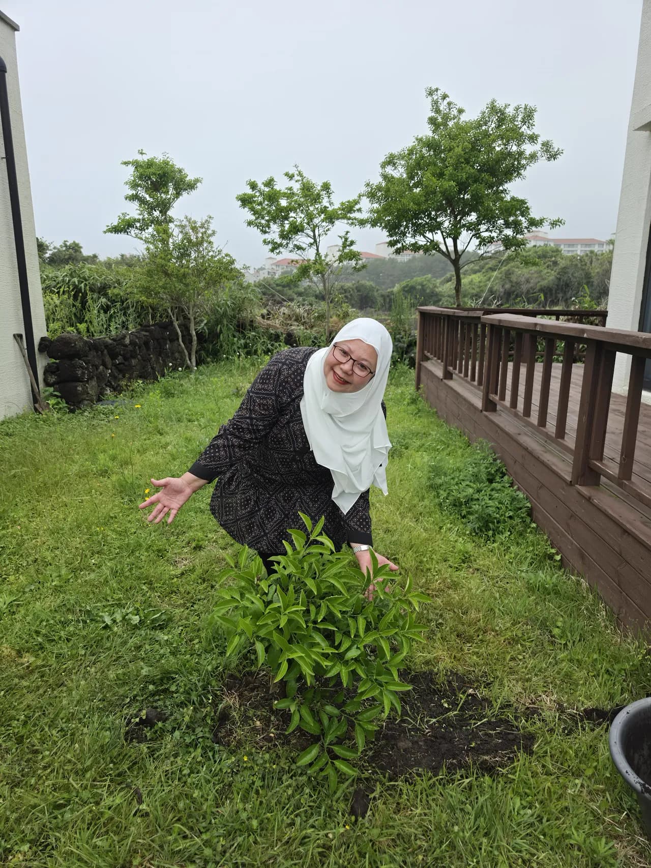 A guest kneeling beside the freshly planted tangerine tree